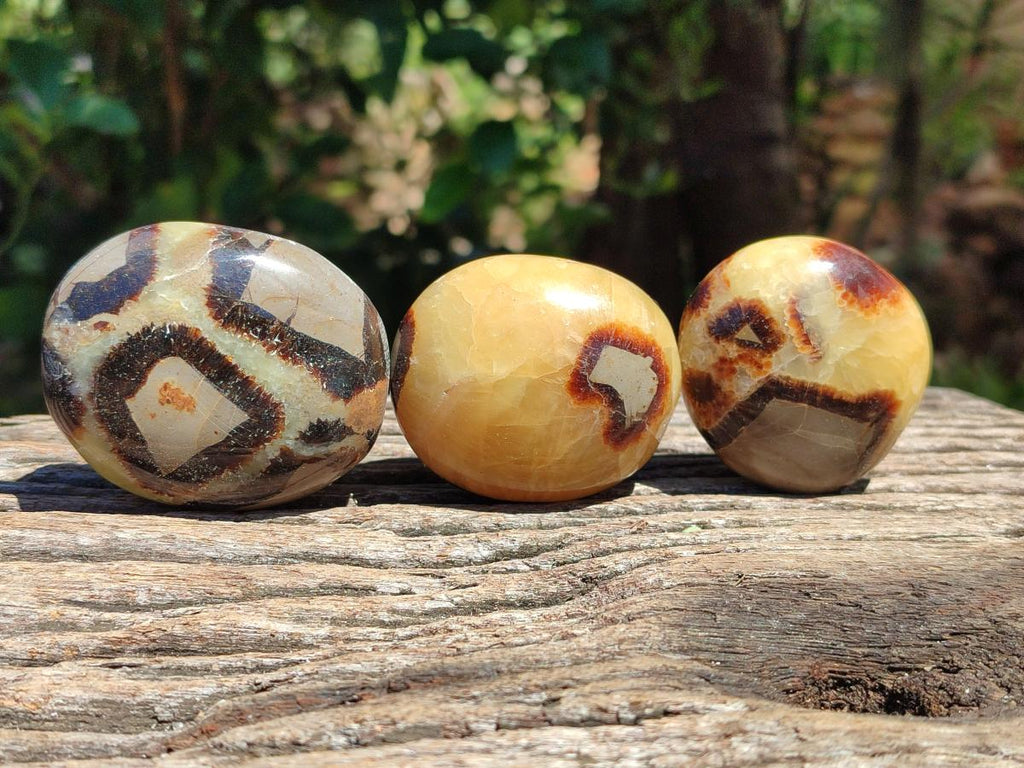 Polished Septerye Galets x 12 From Mahajanga, Madagascar