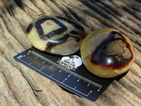 Polished Septerye Galets x 12 From Mahajanga, Madagascar