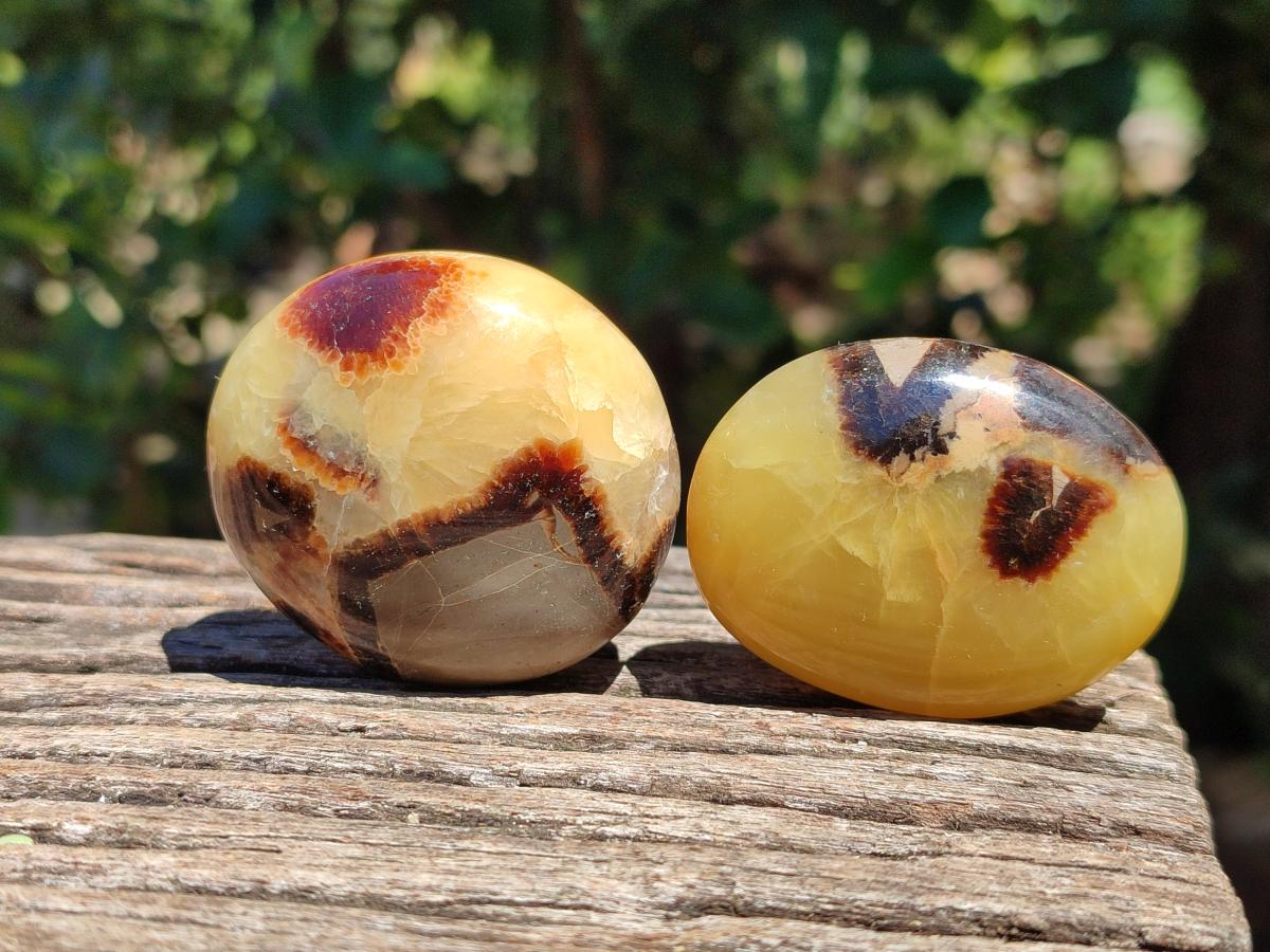 Polished Septerye Galets x 12 From Mahajanga, Madagascar