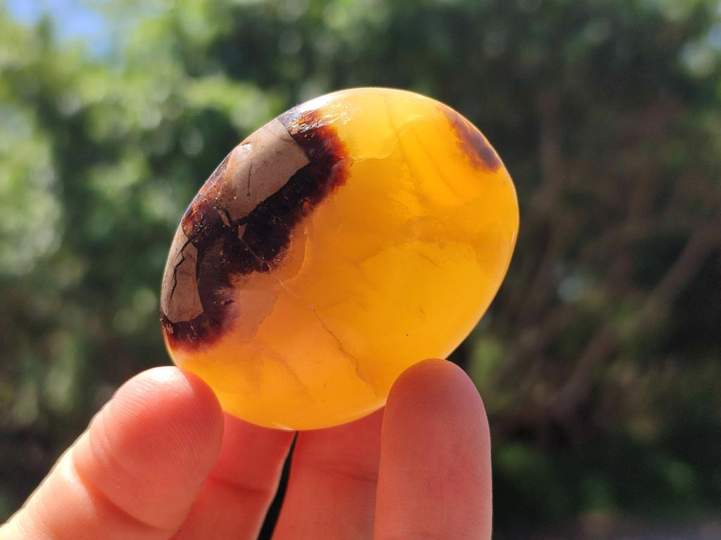 Polished Septerye Galets x 12 From Mahajanga, Madagascar