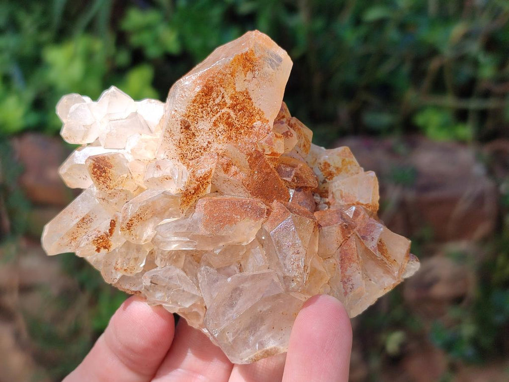 Natural Golden Limonite Quartz Clusters x 13 From Solwezi Zambia - Toprock Gemstones and Minerals 