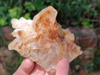 Natural Golden Limonite Quartz Clusters x 13 From Solwezi Zambia - Toprock Gemstones and Minerals 