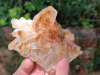 Natural Golden Limonite Quartz Clusters x 13 From Solwezi Zambia
