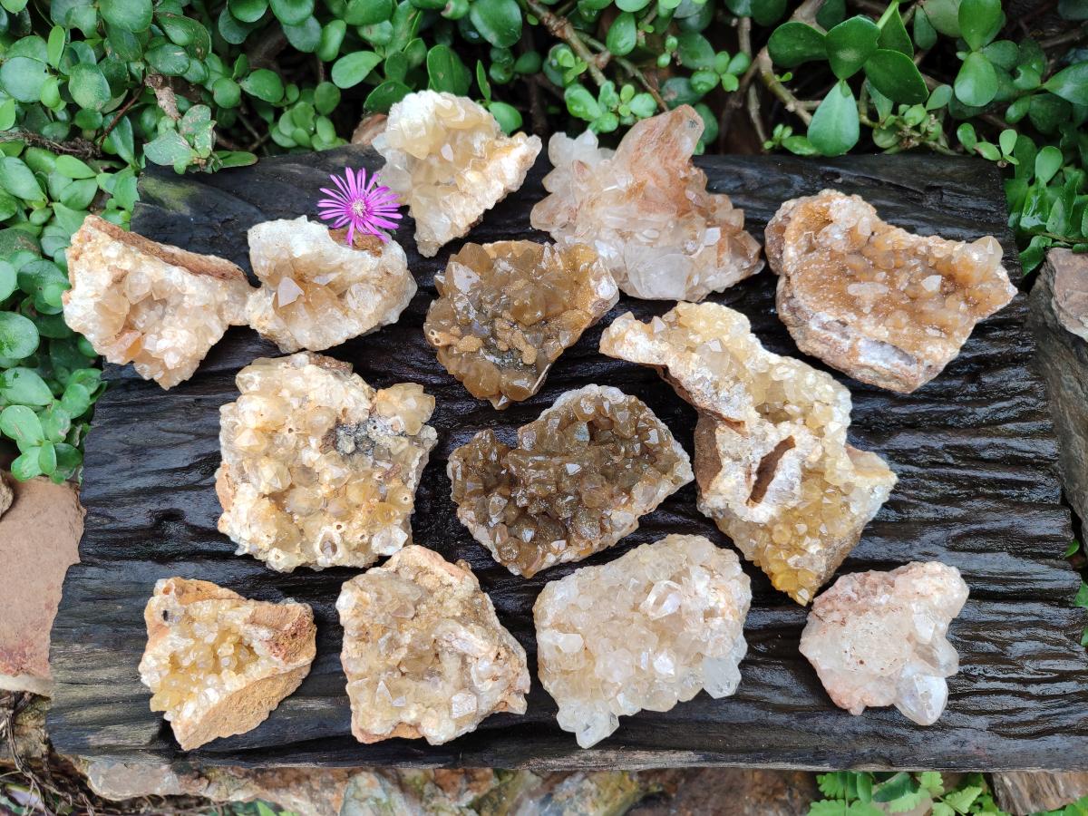 Natural Golden Limonite Quartz Clusters x 13 From Solwezi Zambia - Toprock Gemstones and Minerals 