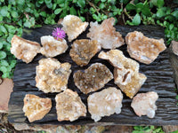 Natural Golden Limonite Quartz Clusters x 13 From Solwezi Zambia