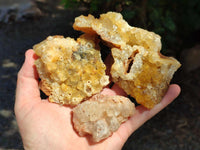 Natural Golden Limonite Quartz Clusters x 13 From Solwezi Zambia