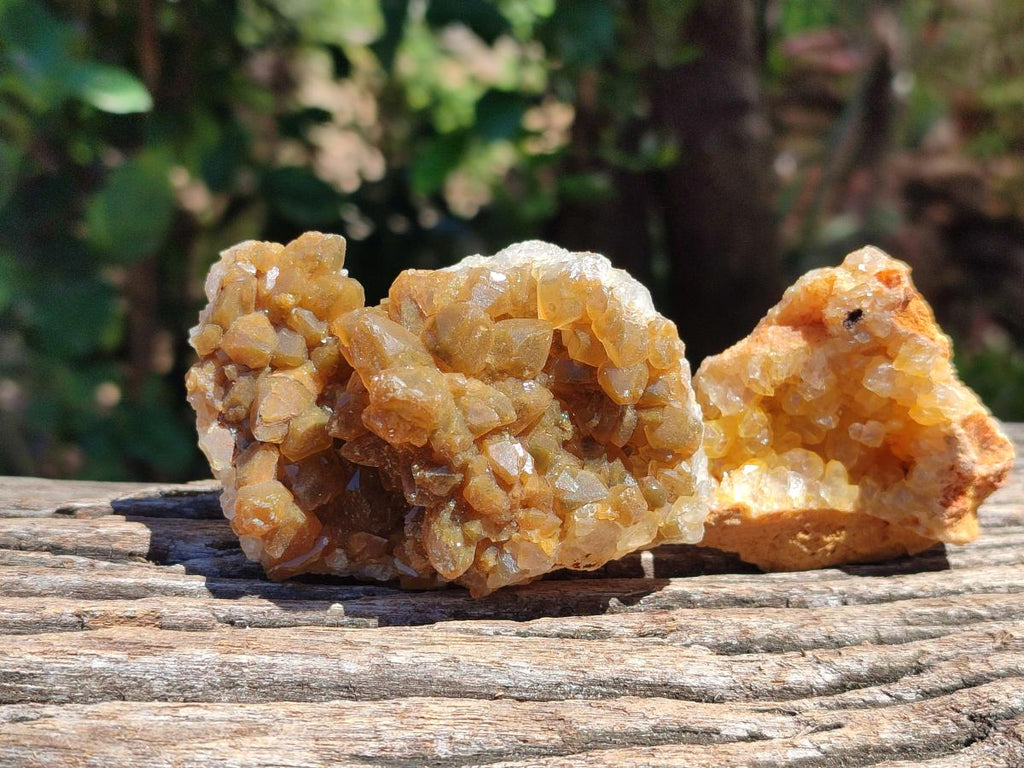 Natural Golden Limonite Quartz Clusters x 13 From Solwezi Zambia - Toprock Gemstones and Minerals 