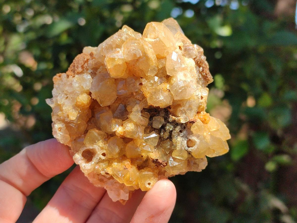 Natural Golden Limonite Quartz Clusters x 13 From Solwezi Zambia - Toprock Gemstones and Minerals 