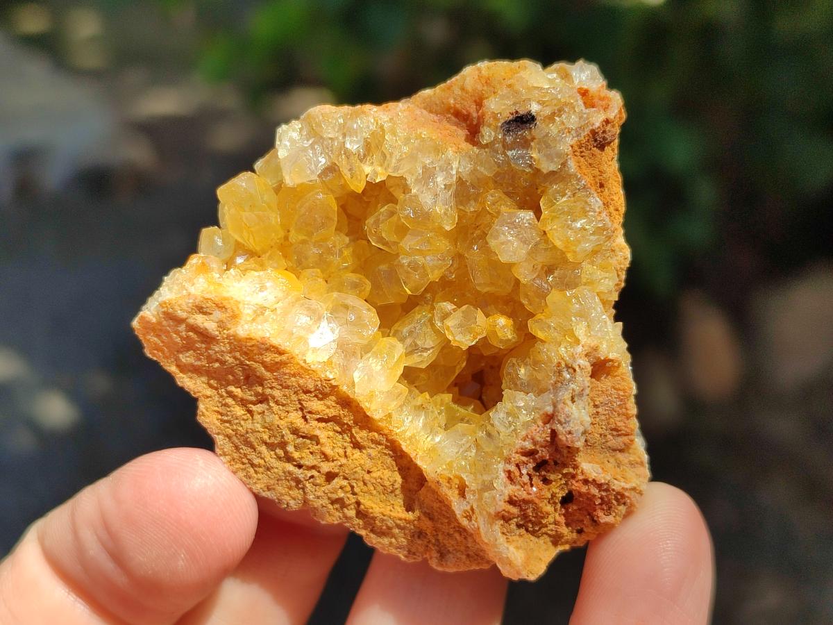 Natural Golden Limonite Quartz Clusters x 13 From Solwezi Zambia