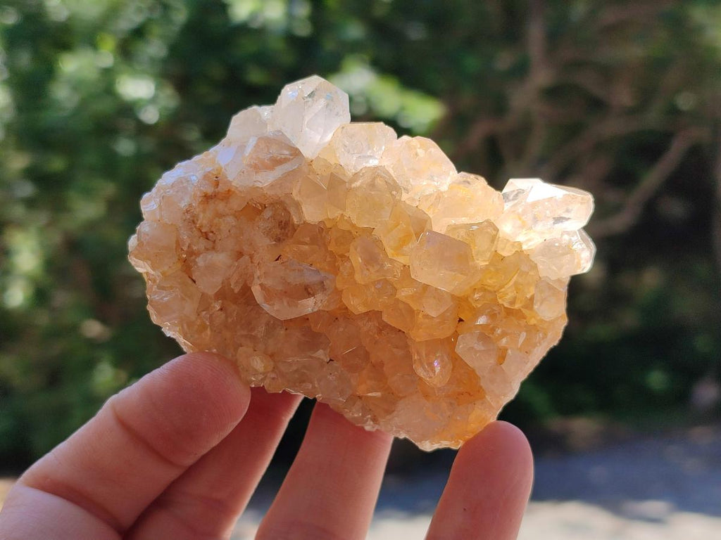 Natural Golden Limonite Quartz Clusters x 13 From Solwezi Zambia - Toprock Gemstones and Minerals 