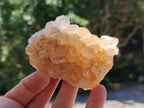 Natural Golden Limonite Quartz Clusters x 13 From Solwezi Zambia - Toprock Gemstones and Minerals 