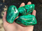 Polished Flower Banded Malachite Free Forms x 6 From Congo