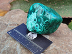 Polished Flower Banded Malachite Free Forms x 6 From Congo