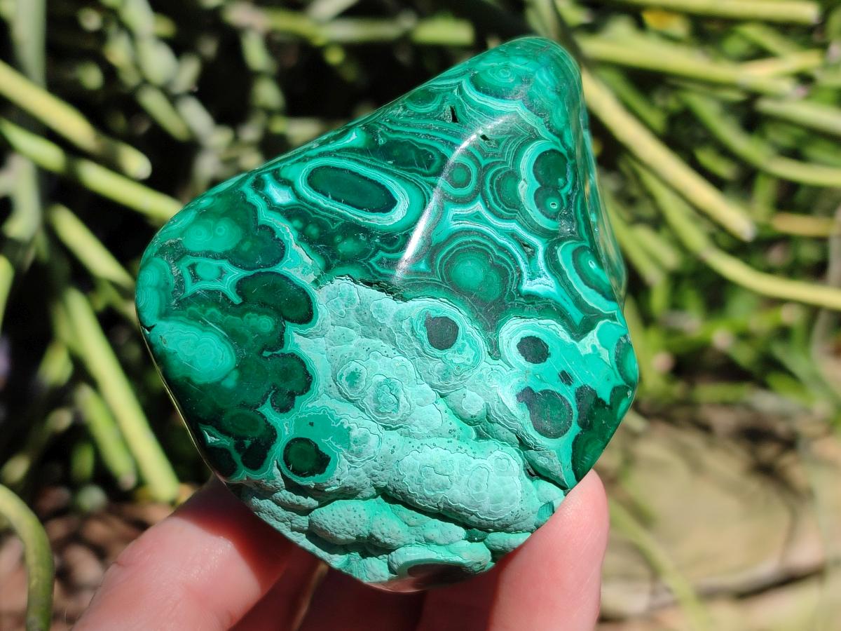Polished Flower Banded Malachite Free Forms x 6 From Congo