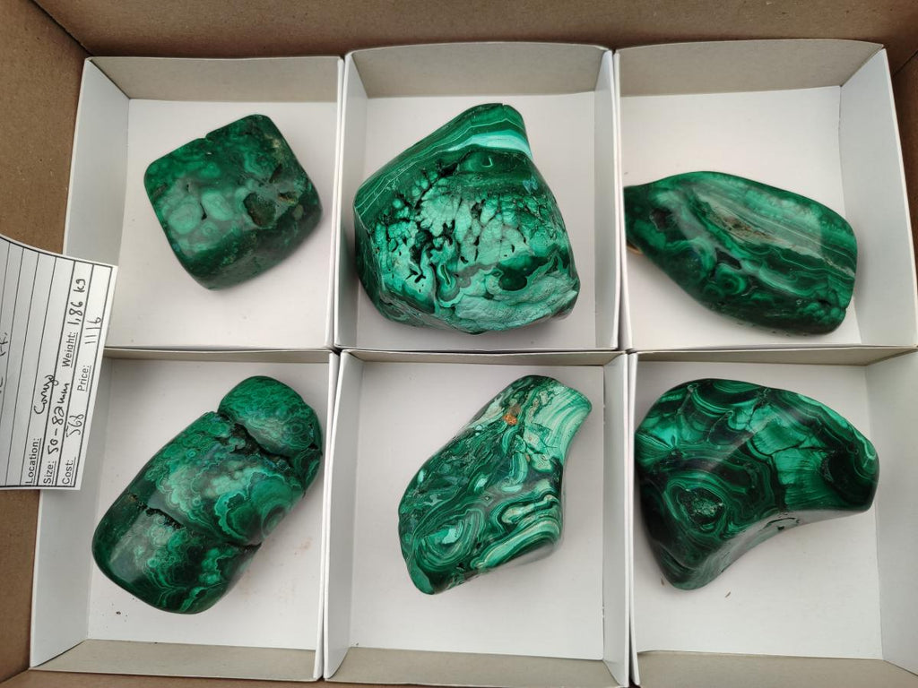 Polished Flower Banded Malachite Free Forms x 6 From Congo