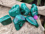 Polished Flower Banded Malachite Free Forms x 6 From Congo
