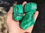 Polished Flower Banded Malachite Free Forms x 6 From Congo
