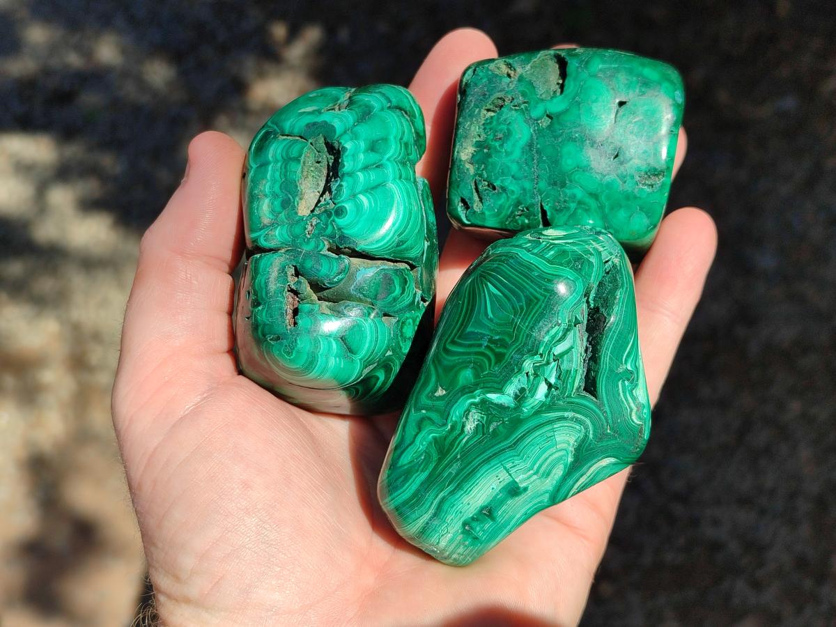 Polished Flower Banded Malachite Free Forms x 6 From Congo