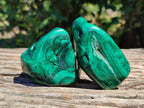Polished Flower Banded Malachite Free Forms x 6 From Congo