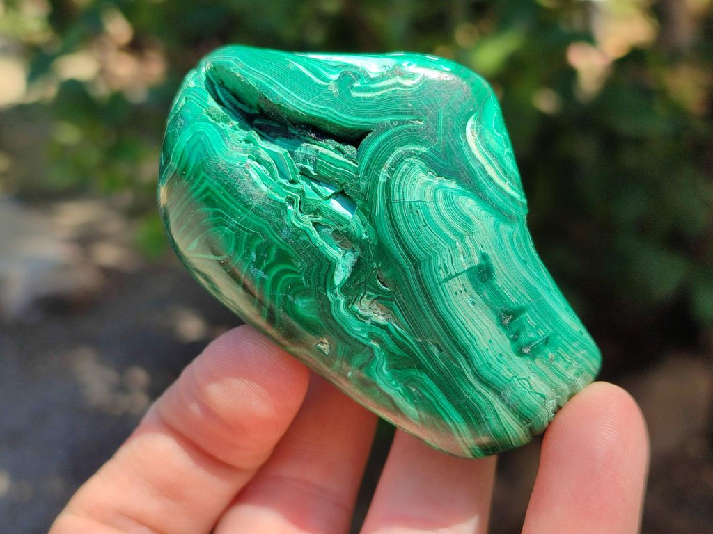 Polished Flower Banded Malachite Free Forms x 6 From Congo