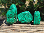 Polished Flower Banded Malachite Free Forms x 6 From Congo