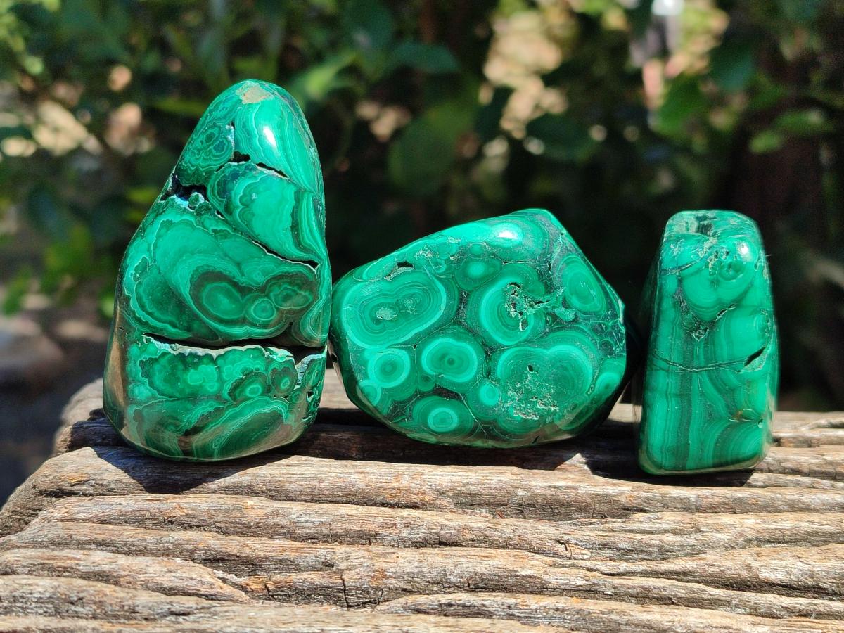 Polished Flower Banded Malachite Free Forms x 6 From Congo