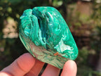 Polished Flower Banded Malachite Free Forms x 6 From Congo