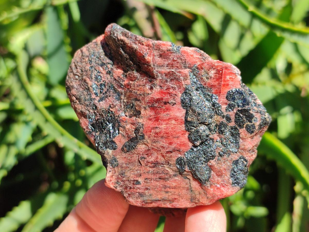 Natural Rhodonite Cobbed Specimens x 6 From Rhusinga, Zimbabwe