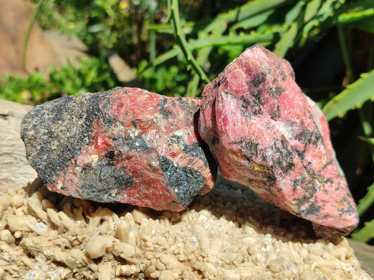 Natural Rhodonite Cobbed Specimens x 6 From Rhusinga, Zimbabwe