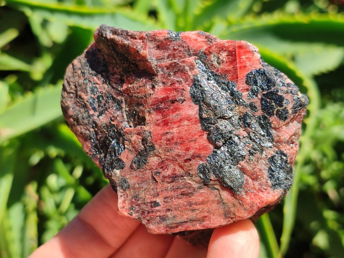 Natural Rhodonite Cobbed Specimens x 6 From Rhusinga, Zimbabwe