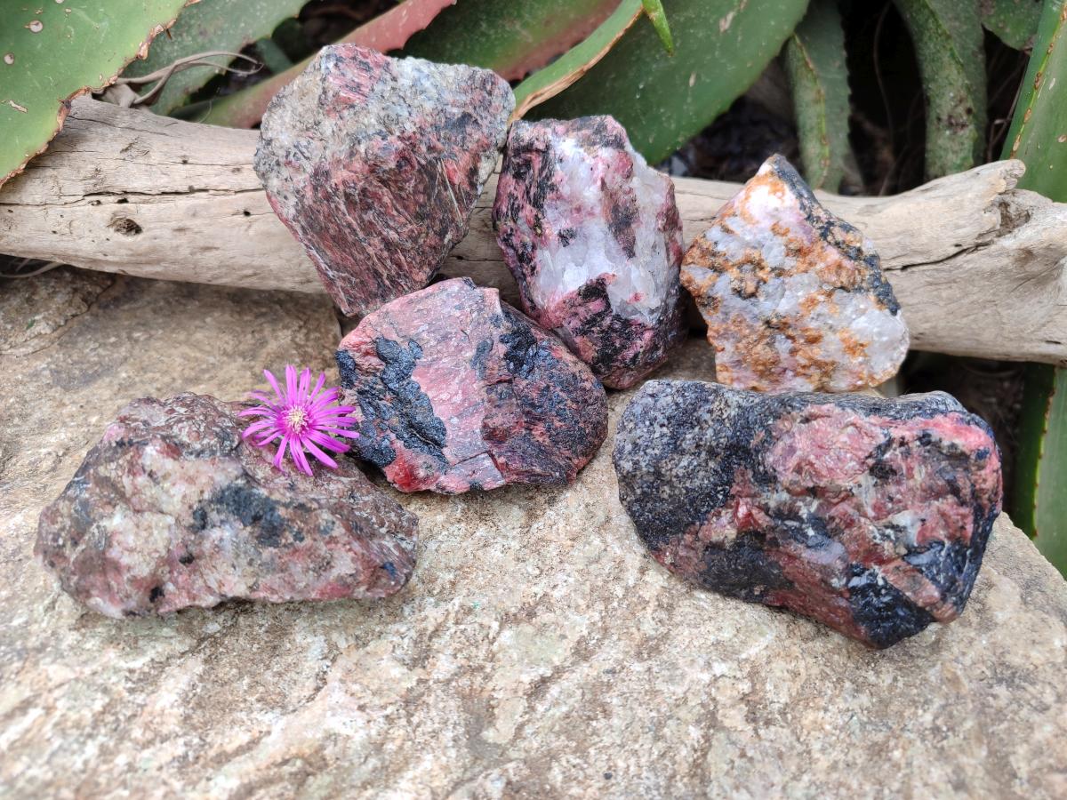 Natural Rhodonite Cobbed Specimens x 6 From Rhusinga, Zimbabwe