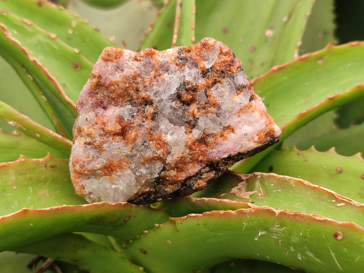 Natural Rhodonite Cobbed Specimens x 6 From Rhusinga, Zimbabwe