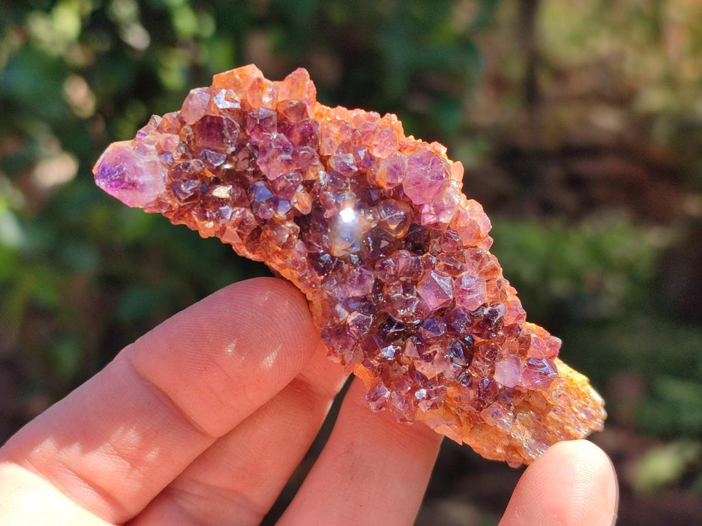 Natural Amethystos Amethyst Clusters x 35 From Kwaggafontein, South Africa