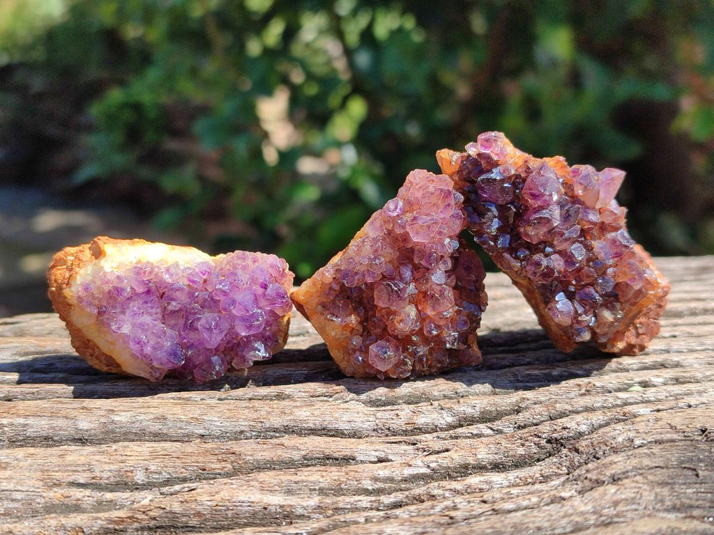 Natural Amethystos Amethyst Clusters x 35 From Kwaggafontein, South Africa