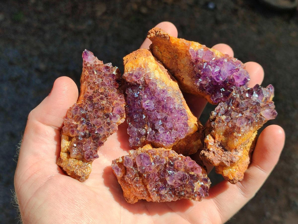 Natural Amethystos Amethyst Clusters x 35 From Kwaggafontein, South Africa
