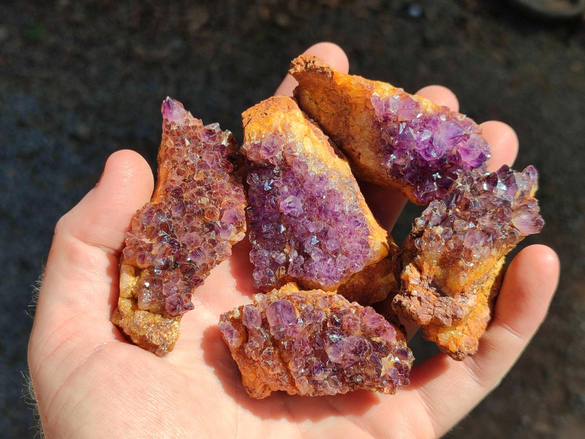 Natural Amethystos Amethyst Clusters x 35 From Kwaggafontein, South Africa