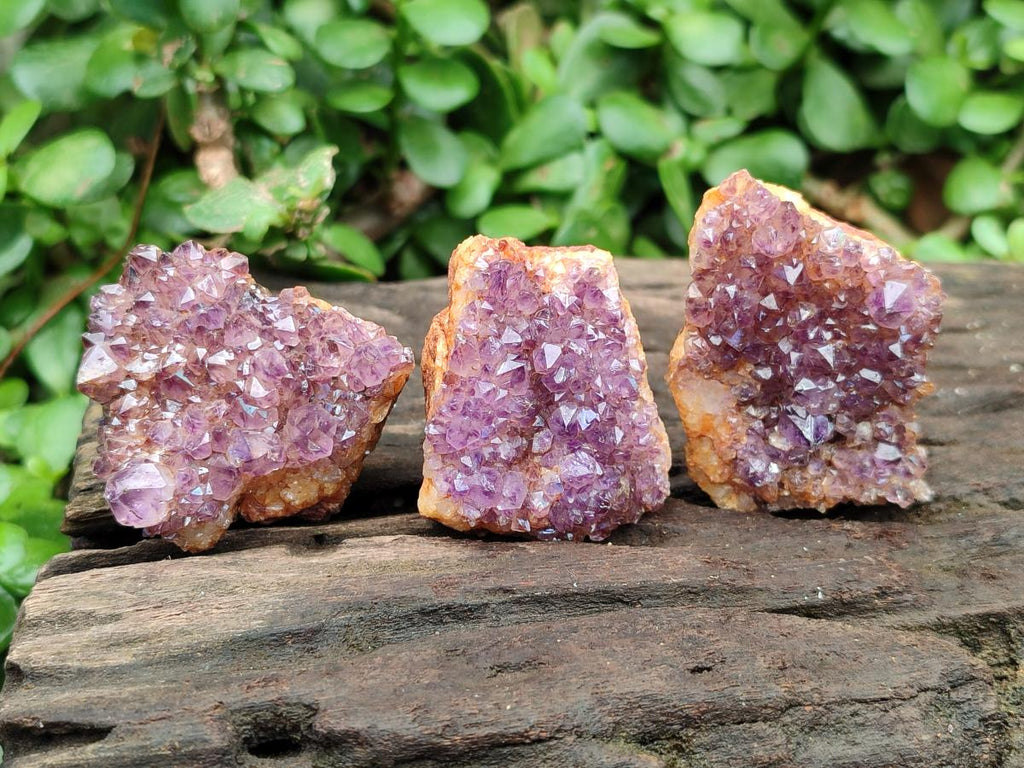 Natural Amethystos Amethyst Clusters x 35 From Kwaggafontein, South Africa