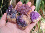 Natural Amethystos Amethyst Clusters x 35 From Kwaggafontein, South Africa