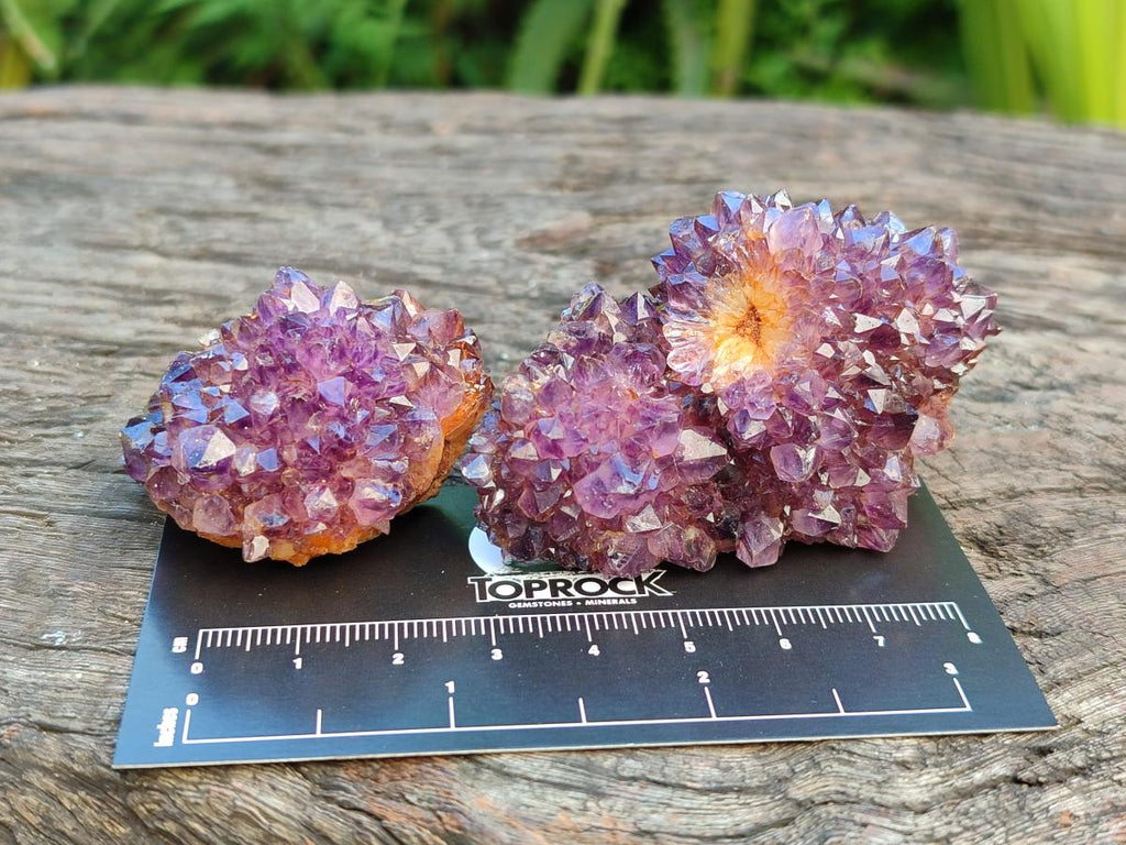 Natural Amethystos Amethyst Clusters x 35 From Kwaggafontein, South Africa