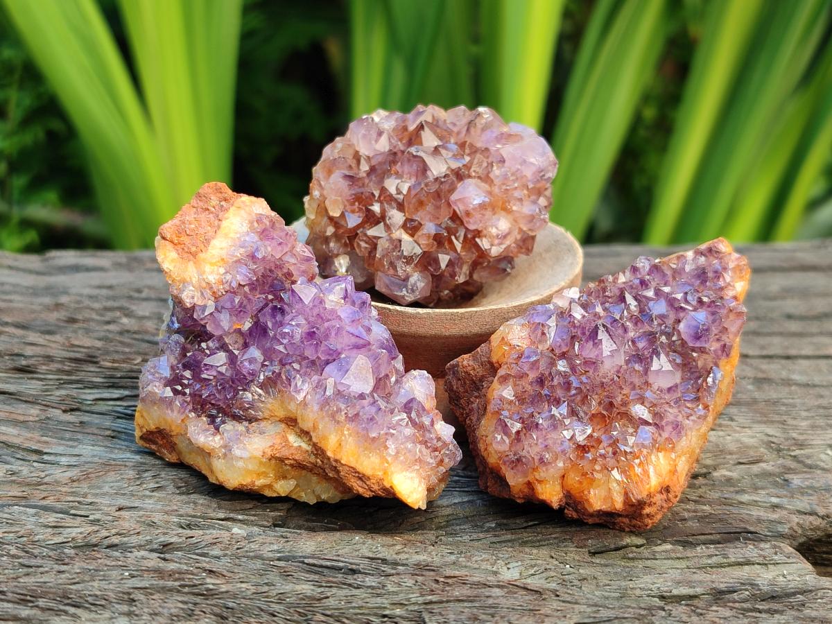 Natural Amethystos Amethyst Clusters x 35 From Kwaggafontein, South Africa