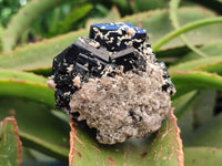 Natural Schorl Black Tourmaline Specimens x 6 From Erongo, Namibia