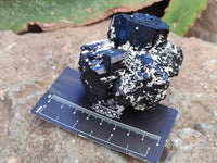 Natural Schorl Black Tourmaline Specimens x 6 From Erongo, Namibia