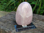 Polished Rose Quartz Standing Free Forms x 4 From Madagascar
