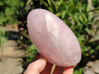 Polished Rose Quartz Standing Free Forms x 4 From Madagascar