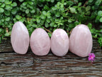 Polished Rose Quartz Standing Free Forms x 4 From Madagascar