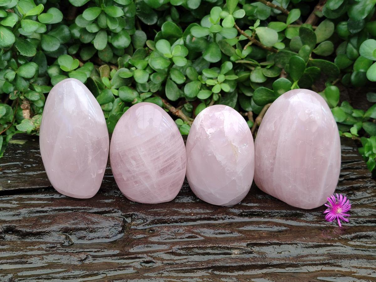 Polished Rose Quartz Standing Free Forms x 4 From Madagascar