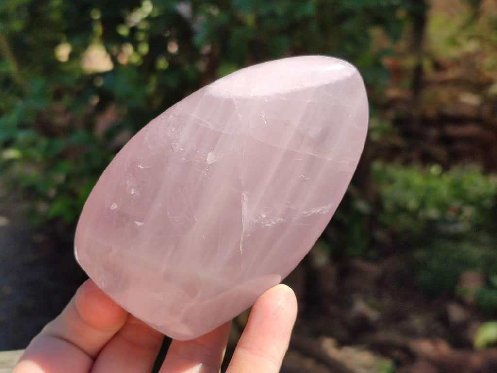 Polished Rose Quartz Standing Free Forms x 4 From Madagascar