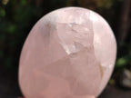 Polished Rose Quartz Standing Free Forms x 4 From Madagascar