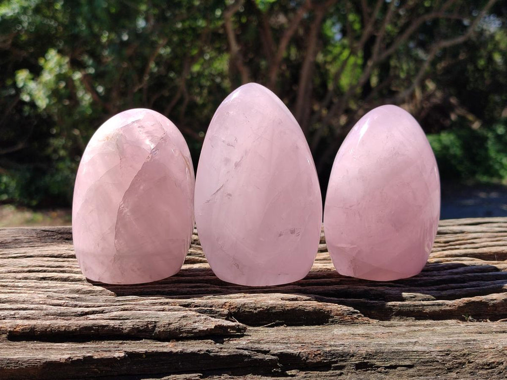Polished Rose Quartz Standing Free Forms x 4 From Madagascar