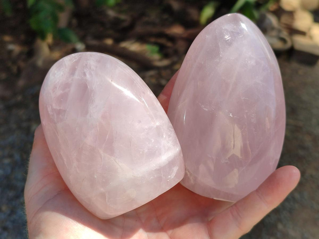 Polished Rose Quartz Standing Free Forms x 4 From Madagascar